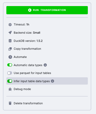 Screenshot - Infer Input Table Data Types Enabled